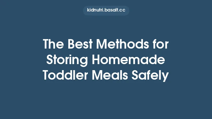 The Best Methods for Storing Homemade Toddler Meals Safely Thumbnail