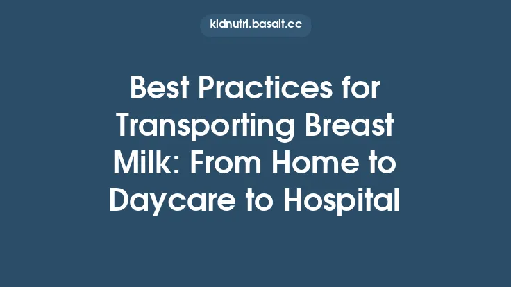 Best Practices for Transporting Breast Milk: From Home to Daycare to Hospital Thumbnail