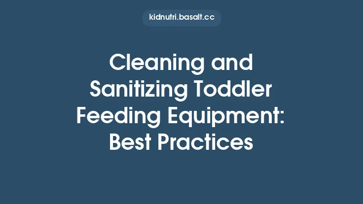 Cleaning and Sanitizing Toddler Feeding Equipment: Best Practices Thumbnail