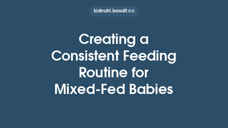 Creating a Consistent Feeding Routine for Mixed‑Fed Babies Thumbnail