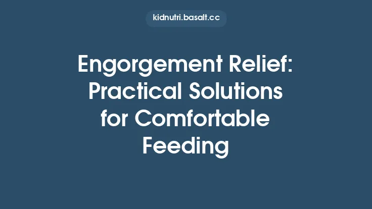 Engorgement Relief: Practical Solutions for Comfortable Feeding Thumbnail
