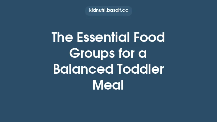 The Essential Food Groups for a Balanced Toddler Meal Thumbnail