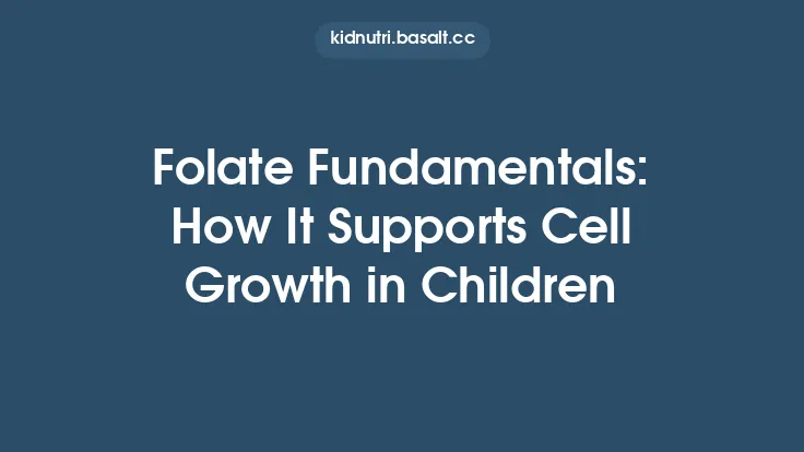 Folate Fundamentals: How It Supports Cell Growth in Children Thumbnail