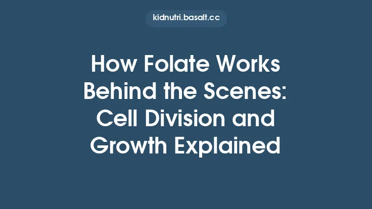 How Folate Works Behind the Scenes: Cell Division and Growth Explained Thumbnail