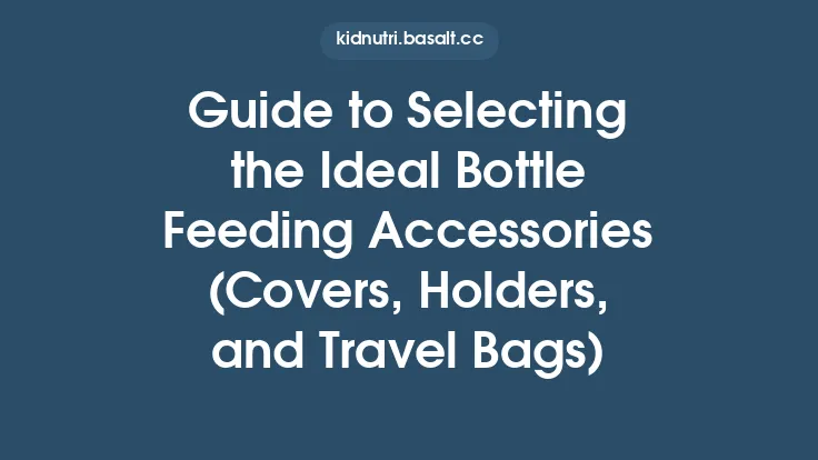Guide to Selecting the Ideal Bottle Feeding Accessories (Covers, Holders, and Travel Bags) Thumbnail