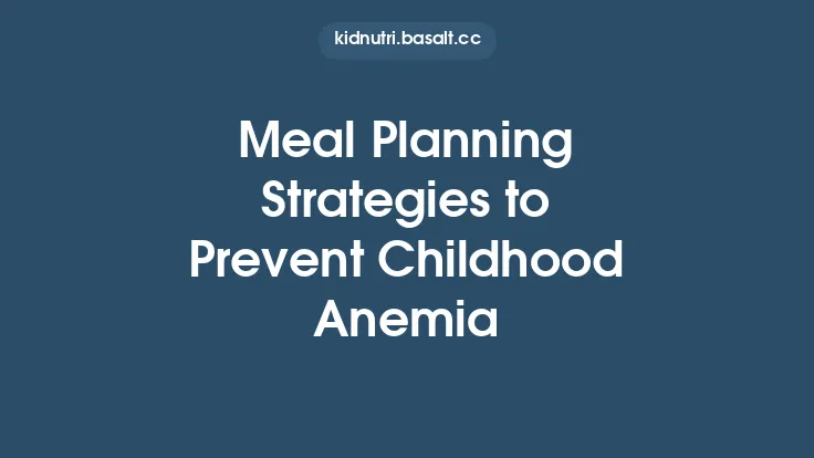 Meal Planning Strategies to Prevent Childhood Anemia Thumbnail