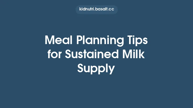 Meal Planning Tips for Sustained Milk Supply Thumbnail