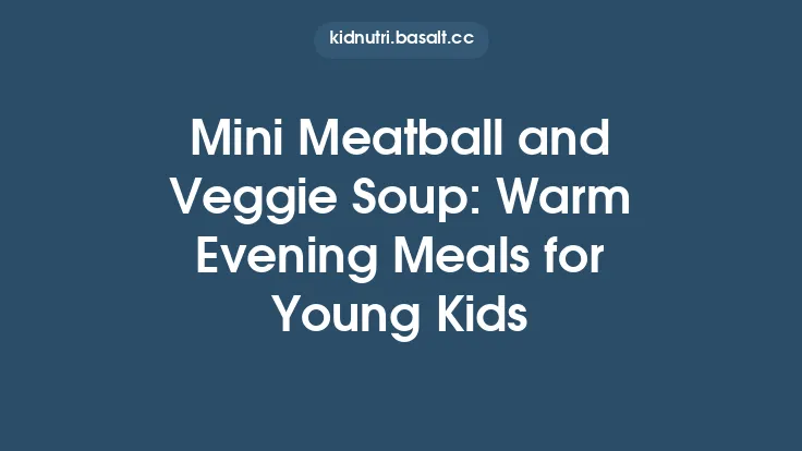 Mini Meatball and Veggie Soup: Warm Evening Meals for Young Kids Thumbnail
