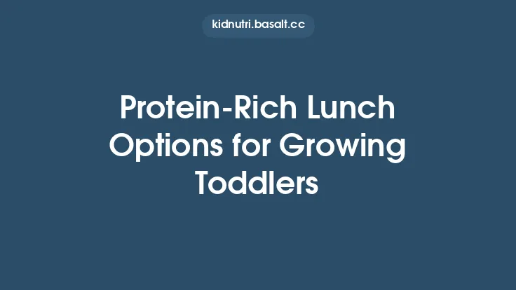 Protein‑Rich Lunch Options for Growing Toddlers Thumbnail