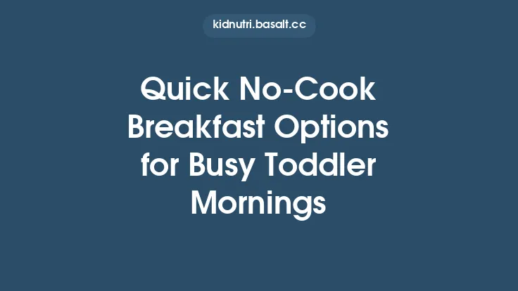 Quick No‑Cook Breakfast Options for Busy Toddler Mornings Thumbnail