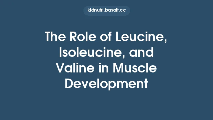 The Role of Leucine, Isoleucine, and Valine in Muscle Development Thumbnail