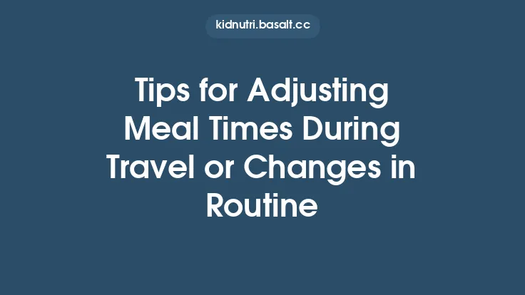 Tips for Adjusting Meal Times During Travel or Changes in Routine Thumbnail