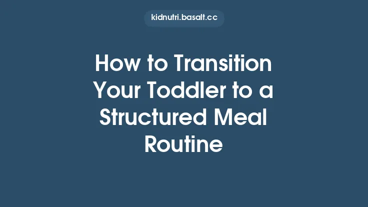 How to Transition Your Toddler to a Structured Meal Routine Thumbnail