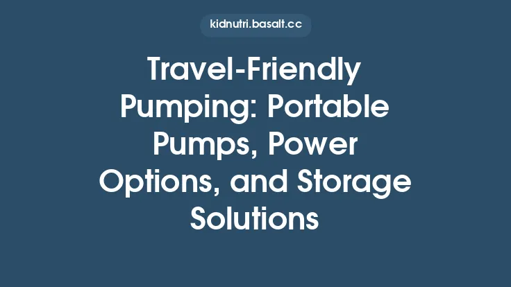 TravelâFriendly Pumping: Portable Pumps, Power Options, and Storage Solutions Thumbnail
