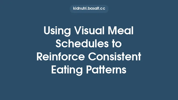 Using Visual Meal Schedules to Reinforce Consistent Eating Patterns Thumbnail
