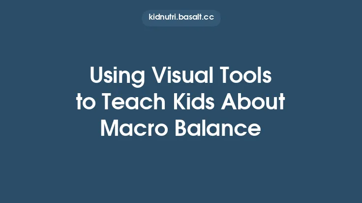 Using Visual Tools to Teach Kids About Macro Balance Thumbnail
